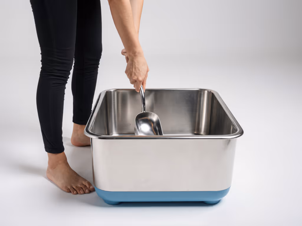 ergonomic_scooping_posture_with_stainless_steel_box